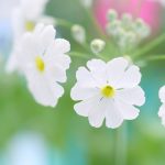 1月28日「神へ帰る」