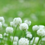 4月1日 「拭い去る神」 佐藤和宏牧師