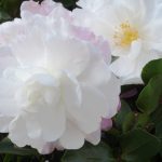 3月18日「愛に立つ」