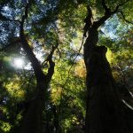 2月11日「影と光と」