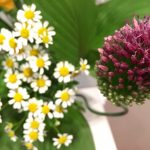 6月24日 「赦されて生きる」 佐藤和宏牧師