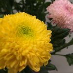 8月12日 「宣教力」 佐藤和宏牧師