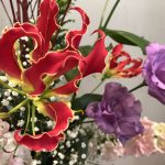 11月25日 「一日一日を、大切に」 江口再起牧師