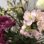1月27日 「苦しみも喜びも」 佐藤和宏牧師