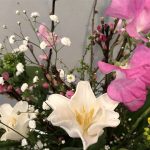2月24日 「神の風景」 佐藤和宏牧師