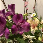 3月3日 「主の命令で」 佐藤和宏牧師