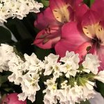 4月14日 「想起して生きる」 佐藤和宏牧師
